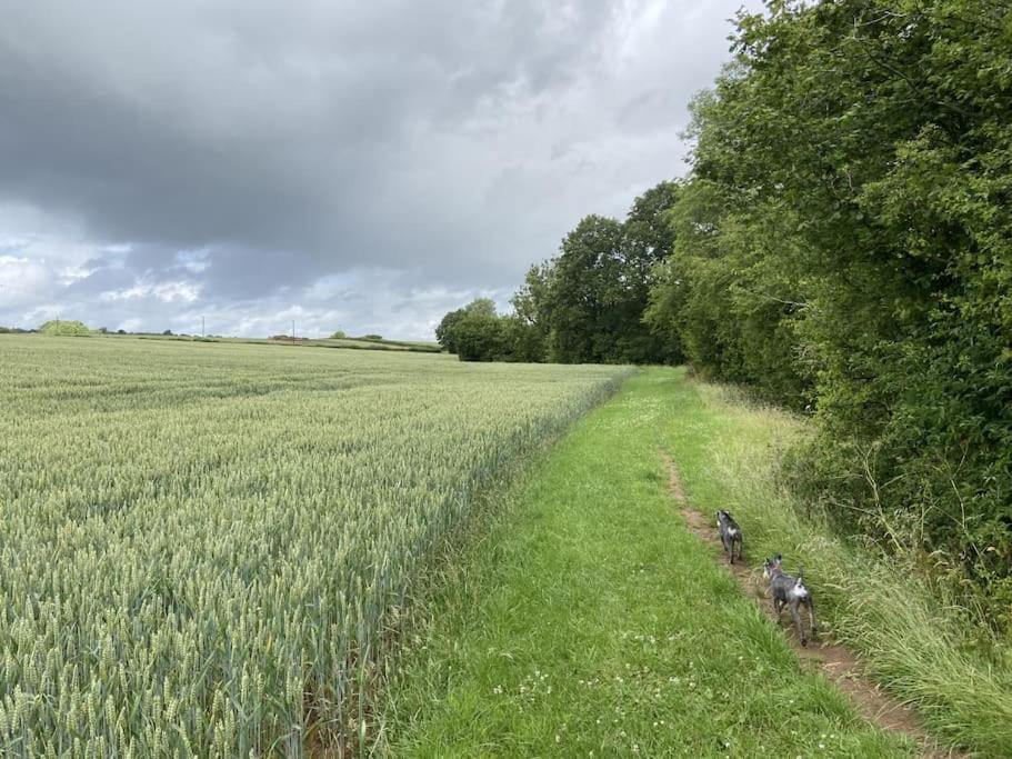 Coach House - Detached Cottage Within 135 Acres Bromyard Exterior photo